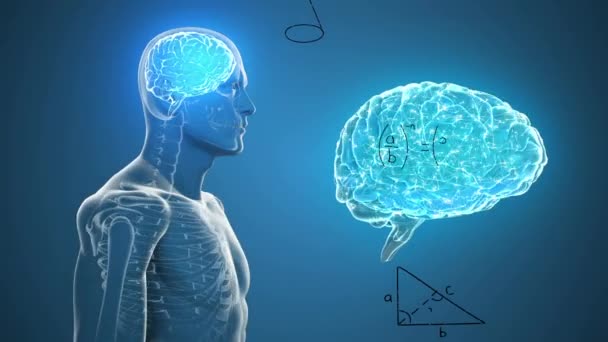 Nsan Vücudu Modeli Beyni Üzerinde Dönen Matematiksel Denklemlerin Animasyonu Tıbbi — Stok video