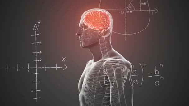 Nsan Vücudunu Beyin Ile Döndüren Matematiksel Denklemlerin Animasyonu Tıbbi Araştırma — Stok video