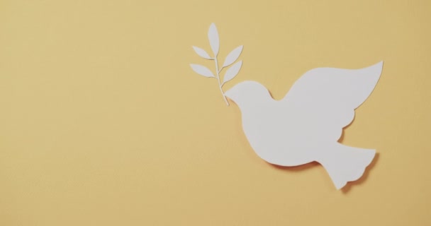 Close White Dove Leaf Copy Space Yellow Background Peace War — Stock Video