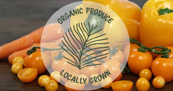 Composto Prodotti Biologici Coltivati Localmente Frutta Verdura Eco Cibo Sano — Foto Stock