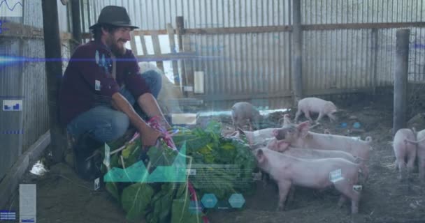 Animering Ekonomiska Uppgifter Den Kaukasiska Manliga Jordbrukaren Med Svin Globalt — Stockvideo