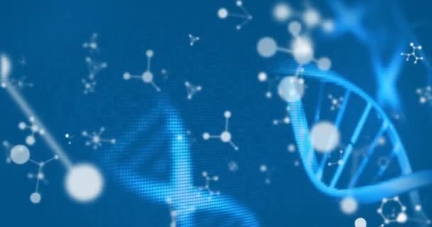 Animation Spinning Dna Molecular Structures Blue Background Medical Research Science — Stockvideo