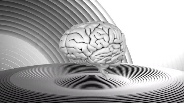 Animacja Ludzkiego Mózgu Wirująca Nad Białymi Kręgami Koncepcja Nauki Badań — Wideo stockowe
