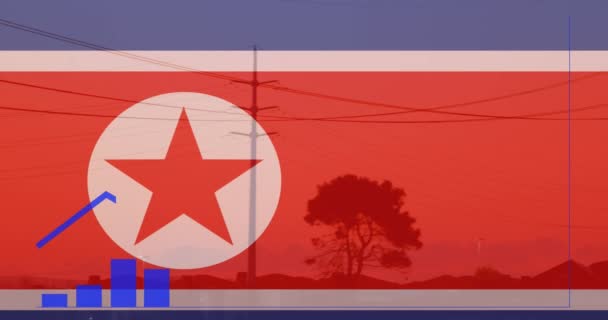 北朝鮮の国旗に関する統計とデータ処理のアニメーション ビジネス コミュニケーション デジタルインターフェイス データ処理の概念デジタル生成ビデオ — ストック動画