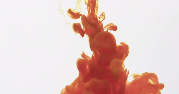 Slow Motion Video Orange Yellow Watercolor Ink Mixing Water Grey — Stock Video