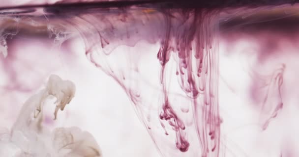 Zpomalené Video Fialové Akvarelové Barvy Míchané Vodě Šedém Pozadí Krásný — Stock video