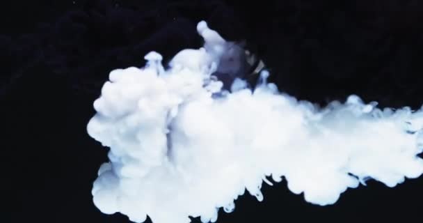 Zpomalení Videa Bílé Akvarel Inkoust Míchání Vodě Černém Pozadí Krásný — Stock video
