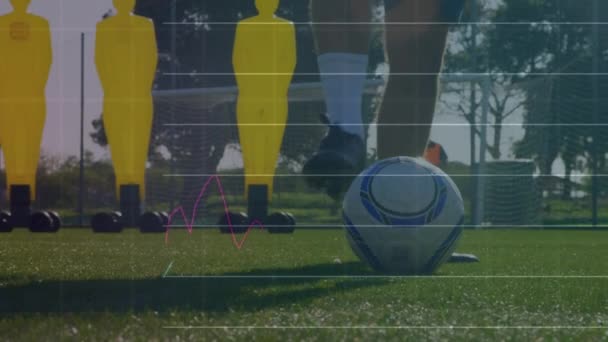Animasi Pengolahan Data Keuangan Atas Pemain Sepak Bola Kaukasia Lapangan — Stok Video