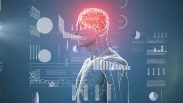 Animering Databehandling Över Människokroppen Med Glödande Hjärna Global Vetenskap Forskning — Stockvideo
