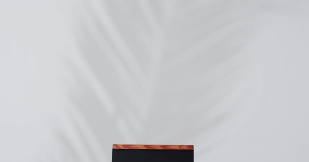 Wideo Tablicy Znamionowej Drewnianym Stojaku Przestrzenią Kopiowania Białym Tle Oznakowanie — Wideo stockowe