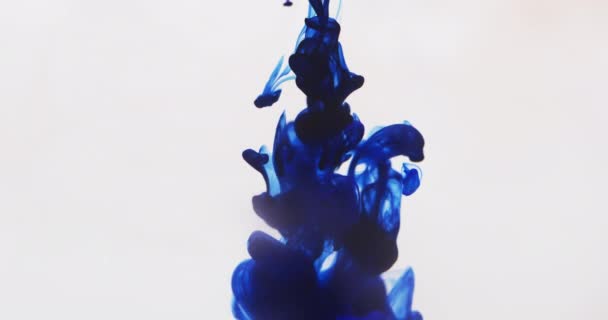 Vídeo Cámara Lenta Tinta Azul Acuarela Mezclada Agua Sobre Fondo — Vídeo de stock