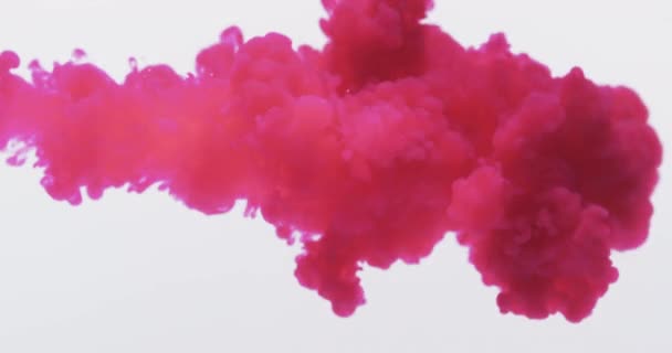 Filmik Różowym Niebieskim Akwarelowym Tuszem Wymieszanym Wodzie Szarym Tle Piękna — Wideo stockowe