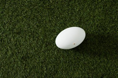 White rugby ball over grass with copy space, in slow motion. Rugby, sport, international, competition and games digitally generated image.
