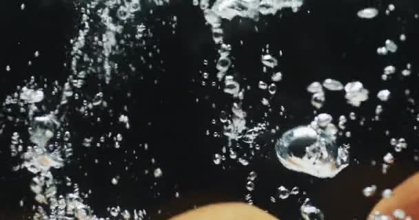 Vídeo Naranjas Bajo Agua Con Espacio Copia Sobre Fondo Negro — Vídeos de Stock