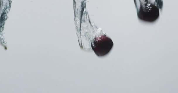 樱桃掉落在水里的录像 白色背景上有复制的空间 水果与新鲜概念 — 图库视频影像