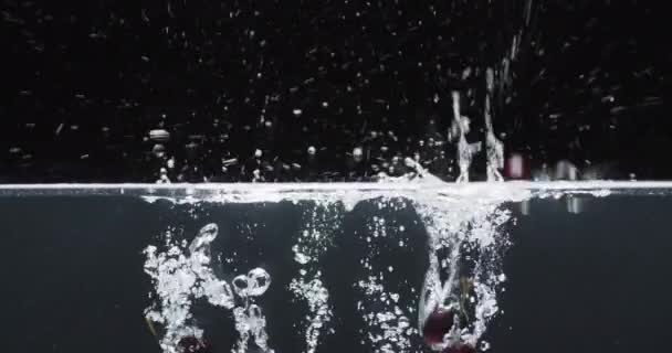 Siyah Arkaplanda Fotokopi Alanı Olan Dutların Suya Düşüşünün Videosu Dijital — Stok video