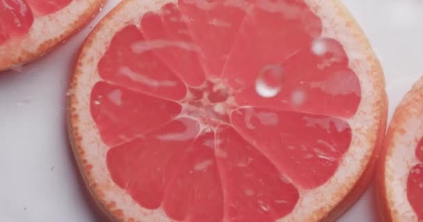 白い背景にコピースペースを持つ赤いグレープフルーツのスライスに落ちる水滴のビデオ 果物と新鮮さのコンセプト — ストック動画