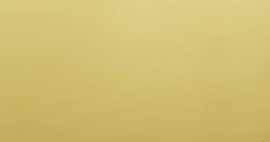 Limon dilimleri ve limon dilimlerinin suya düşüşünün videosu ve sarı arka planda kopya alanı. Meyve ve tazeliği kavramı.