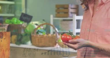 Marketten alışveriş yapan beyaz bir kadın için finansal veri işleme animasyonu. Küresel gıda pazarı, iş dünyası, finans, bilgisayar ve veri işleme kavramı dijital olarak oluşturuldu.