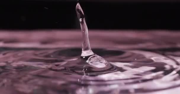 水滴在粉红色背景上有复制空间的特写视频 水和流动概念 — 图库视频影像