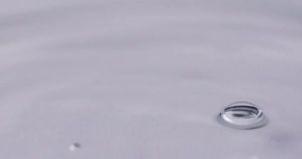 Video Droppe Vatten Med Kopia Utrymme Vit Bakgrund Flytande Vatten — Stockvideo