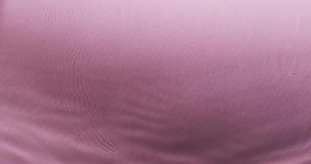 Відео Крупним Планом Хвилі Води Копіюванням Простору Рожевому Фоні Концепція — стокове відео