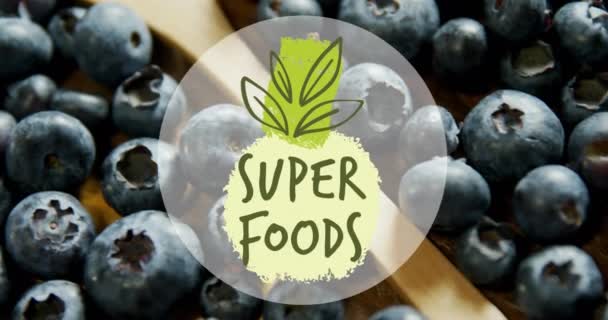 Zdravotní Přínosy Některých Příkladů Super Potravin Patří Borůvky — Stock video