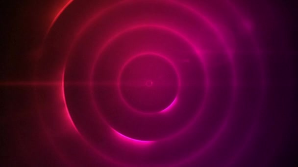 Animation Pink Circles Moving Seamless Loop Dark Background Colour Light — Stock Video