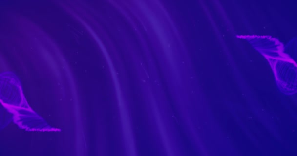 Анимация Фиолетовых Дымовых Следов Движущихся Бесшовной Петле Концепция Цвета Формы — стоковое видео