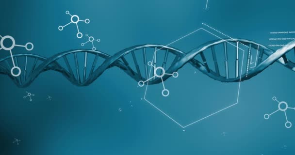 Dna 分子および化学構造を青色の背景に対してアニメーション化する 医学研究 科学技術コンセプト — ストック動画