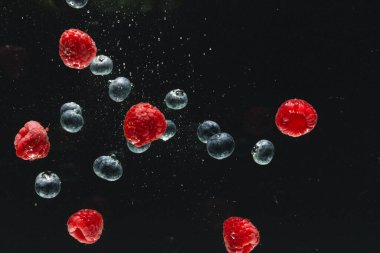 Suya düşen taze böğürtlenleri kapatın ve siyah arkaplanda kopya alanı olsun. Meyve, vejetaryen yemeği ve renk konsepti.