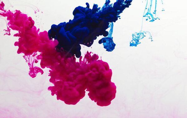 Close up of blue and pink ink in water with copy space on white background. Ink, liquid, shape and colour concept.