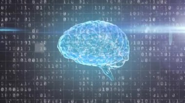İkili kodlama ve insan beyninin animasyonu. Küresel bilim, bağlantılar, hesaplama ve veri işleme kavramı dijital olarak oluşturulmuş video.