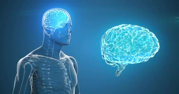 Animering Människokroppen Och Mänskliga Hjärnan Snurrar Blå Bakgrund Vetenskap Forskning — Stockvideo