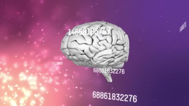 Animering Siffror Och Databehandling Över Mänsklig Hjärnspinning Global Vetenskap Forskning — Stockvideo