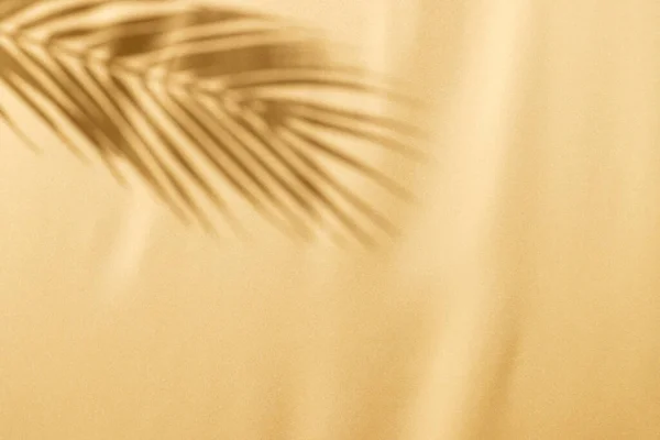 Nahaufnahme Des Schattens Des Palmblattes Und Kopierraum Auf Gelbem Hintergrund — Stockfoto