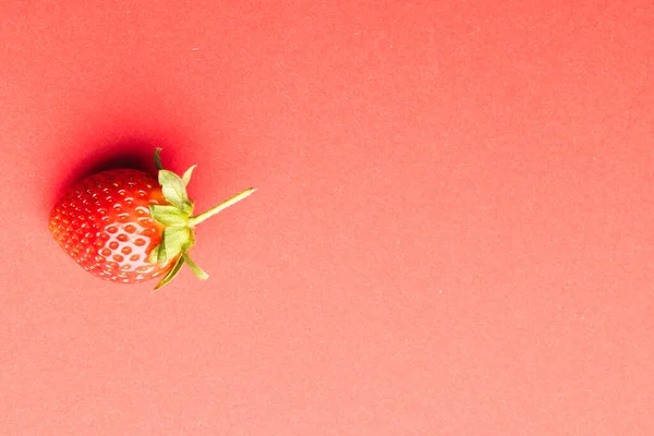 Nahaufnahme Von Erdbeere Und Kopierraum Auf Rotem Hintergrund Obst Beeren — Stockfoto