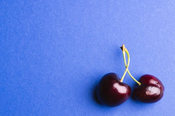 Nahaufnahme Von Zwei Kirschen Und Kopierfläche Auf Blauem Hintergrund Obst — Stockfoto