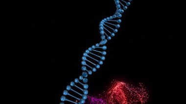 Siyah arkaplana karşı dinamik dalga üzerinden mavi DNA sarmalının animasyonu. Dijital olarak üretilen hologram, illüstrasyon, medikal, molekül, veri, bağlantı, sağlık ve teknoloji kavramı.