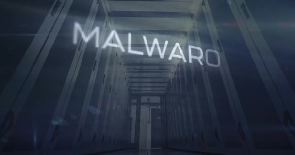 Animation Malware Tekst Computersprog Lav Vinkel Visning Serverrummet Digital Komposit – Stock-video