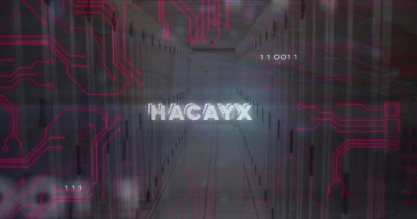 Animation Hacked Text Binary Codes Snowfall Server Room Background Digital — Stock Video