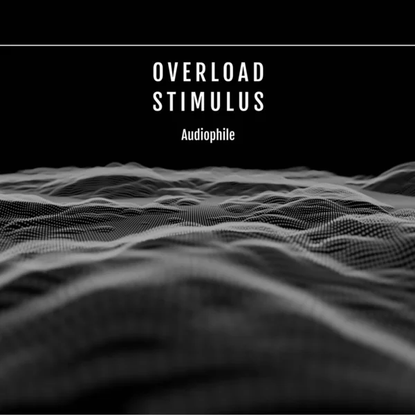 Composition Overload Stimulus Audiophile Text Waves Black Background Colour Art — Stock Photo, Image