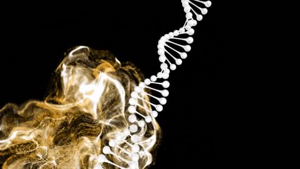 Animation White Dna Helix Dots Forming Dynamic Waves Black Background — Stock Video
