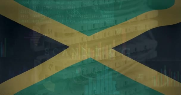 Animación Textos Gráficos Sobre Bandera Jamaica Contra Cables Ethernet Conectados — Vídeos de Stock