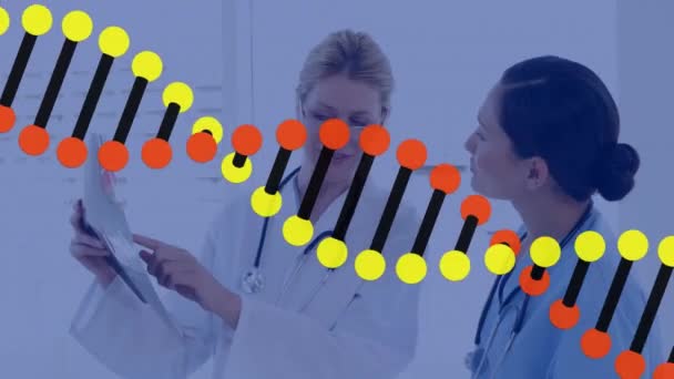 病院での報告について議論する2人の多様な女性医師を対象としたDna構造のアニメーション 医療技術コンセプト — ストック動画