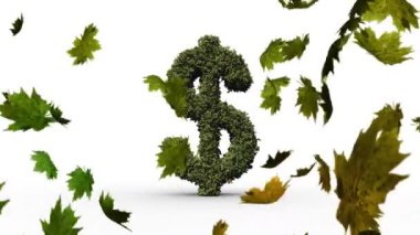 Yeşil Amerikan doları işareti ve yaprakları üzerinde finansal veri işleme animasyonu. Küresel iş, finans, hesaplama ve veri işleme kavramı dijital olarak oluşturulmuş video.