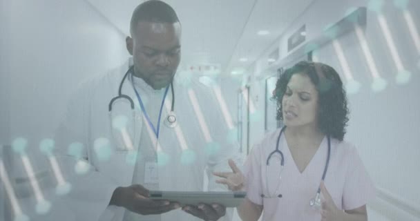 Animacja Dna Przetwarzanie Danych Nad Różnymi Lekarzami Szpitalu Globalna Opieka — Wideo stockowe