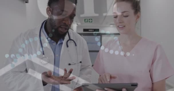 病院の多様な医師に対するDnaとデータ処理のアニメーション グローバルヘルスケア コンピューティング データ処理コンセプトデジタル生成ビデオ — ストック動画
