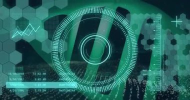 Dairelerin, grafiklerin, DNA sarmalının ve altıgen deseninin üzerindeki değişen sayıların animasyonu. Dijital olarak üretilmiş, hologram, illüstrasyon, anatomi, molekül, rapor, iş, tıbbi ve teknoloji.