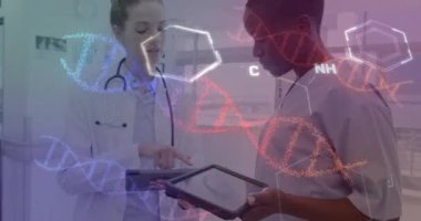 Hastanedeki çeşitli doktorlar üzerinde DNA ve veri işleme animasyonu. Küresel sağlık, bilim, tıp, araştırma, bilgisayar ve veri işleme kavramı dijital olarak oluşturulmuş video.